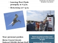 Seabird Cruise poster 2014