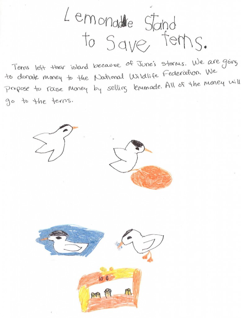 Lemonade for Terns