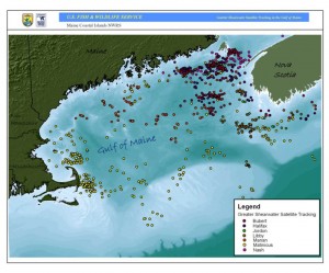 Shearwaters Local Map